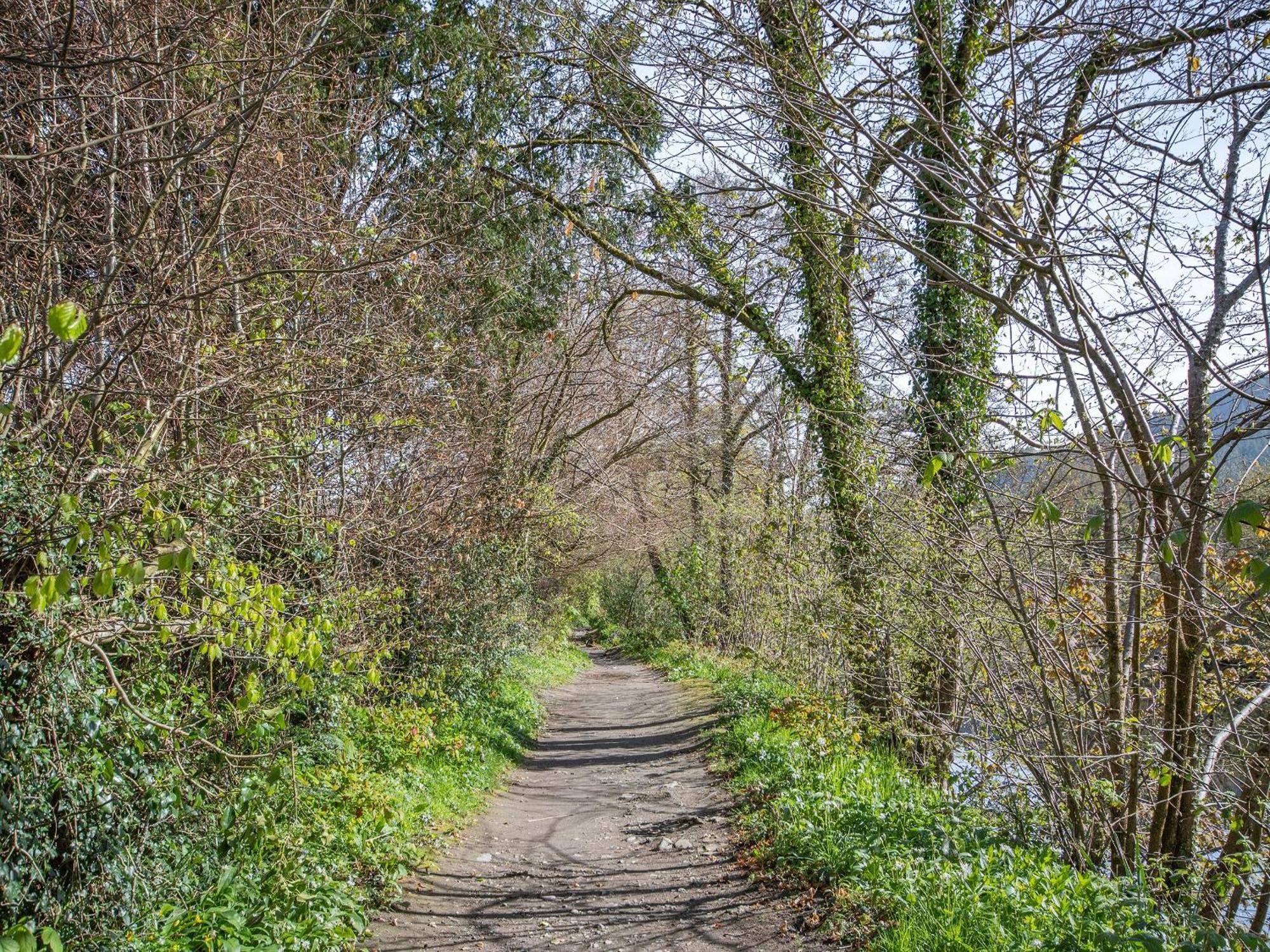 Glanllyn Vila Betws-y-Coed Exterior foto